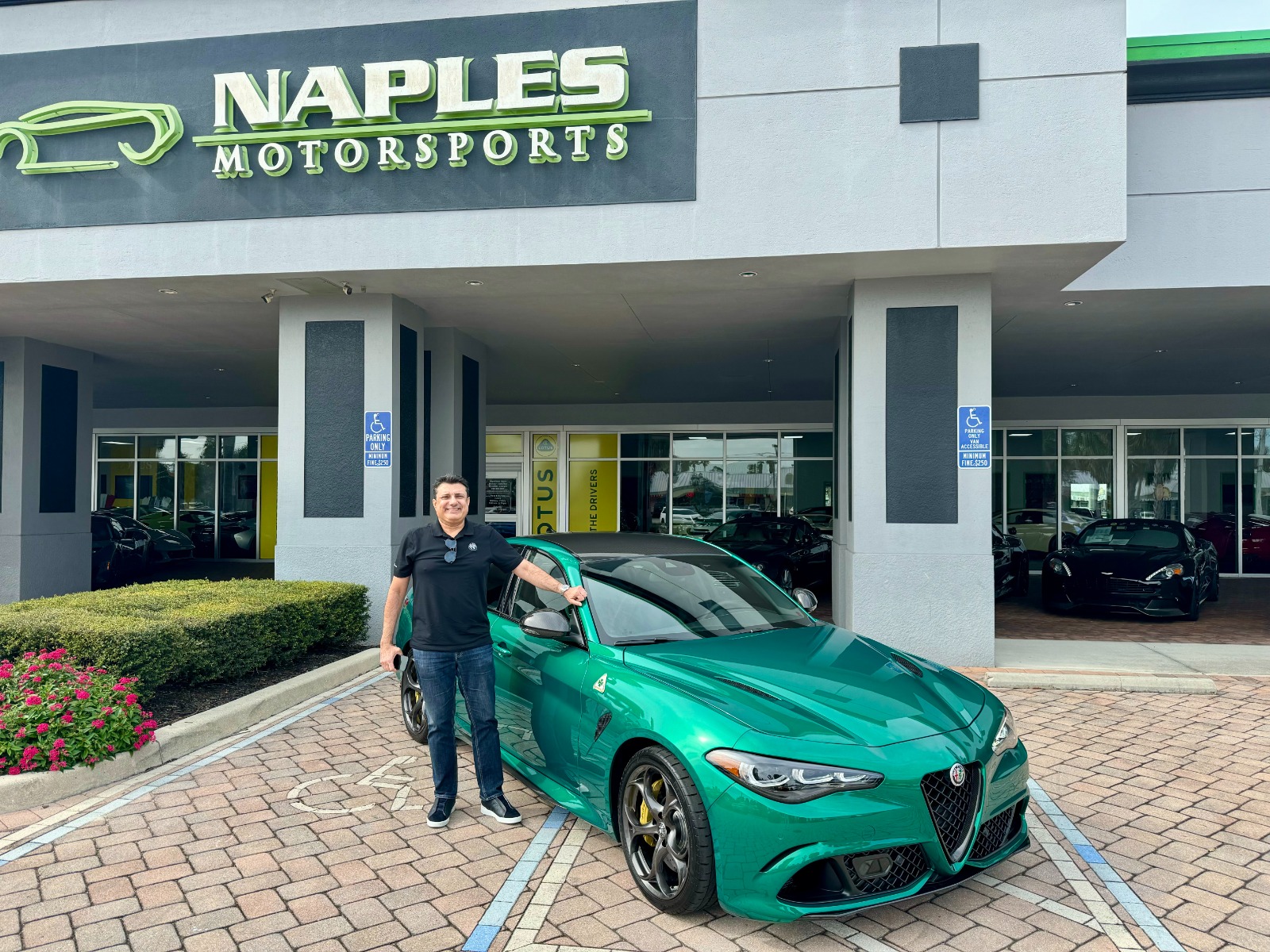 New 2024 Alfa Romeo Giulia Quadrifoglio 100th Anniversary For Sale ...